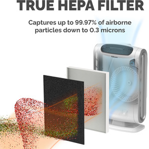 Fellowes Air Purifier Replacement Hepa Filters for DX55 Air Purifier - White by Fellowes