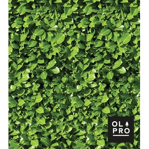Laurel Hedge 5 Pole Windbreak - Green / 4 by Olpro