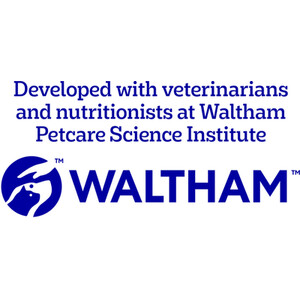 Pedigree Mixed Selection in Jelly Dog Food - 40 by Pedigree