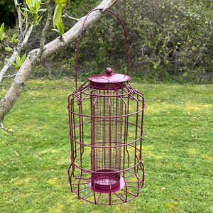 Hanging Squirrel Proof Nut, Seed and Fat Ball Bird Feeders (Set of 3) - Mixed by Selections