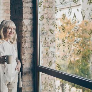 Windows Clings for Spring - Multicoloured / Green Leaves by WALPLUS