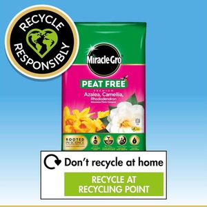 Miracle Gro Azalea Ericaceous Pot Compost Camellia Rhododendron Peat Free 10L - Brown by Miracle-Gro