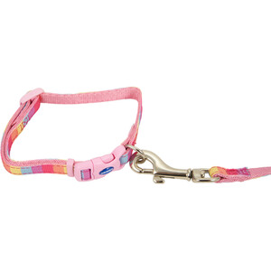 Small Bite Rainbow Collar and Lead Set