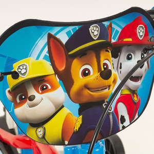 Paw Patrol 12