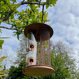 Delux 3 in 1 Seed, Nut and Fatball Bird Feeder - Gold by Selections