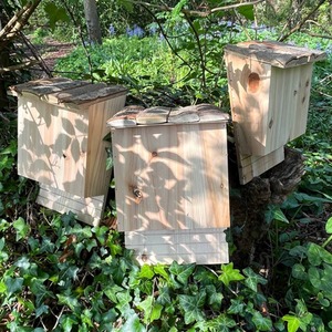 Large Wooden Bat Nesting Roosting Box - Brown / 0.6kg by Selections