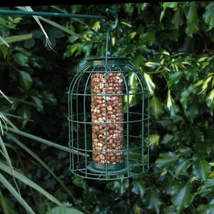 Natures Market Pack of Wild Bird Hanging Nut Feeder with Squirrel Guard - Green by Samuel Alexander