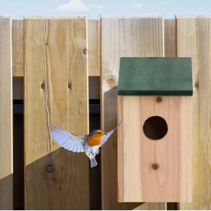 Wooden Garden Bird Nesting Box - Brown & Green / 4 by Garden Mile