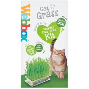 Webbox Cat Grass by Webbox