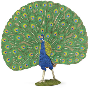 PAPO Farmyard Friends Peacock Toy Figure - Blue by PAPO