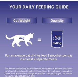 Pack of 40 Purina One Mini Fillets in Gravy by Purina One