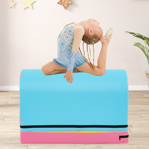 Mailbox Tumbling Mat Gymnastics Vaulting Box - Blue & Pink by Costway