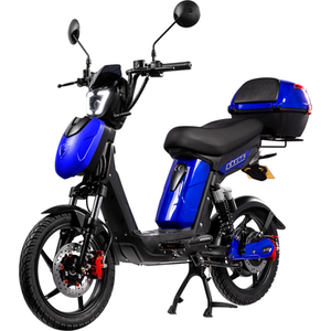 SX-250 Voyager Electric Bike - Gloss Blue by Eskuta