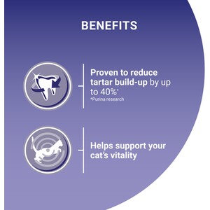 Purina ONE Adult Dry Cat Food - 800g / Chicken and Whole Grains by Purina ONE