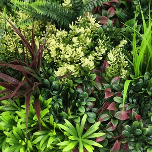 Premium Artificial Green Plant Living Wall Panel 50cm x 50cm - Carnival C - Green by True Products