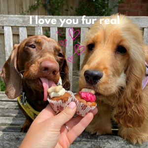 Pack of 3 Mini Woofins - Iced by The Barking Bakery