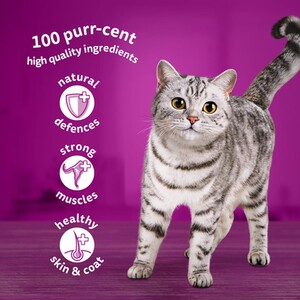 Whiskas 1+ Pouches in Jelly - Mixed Menu / 12 by Whiskas
