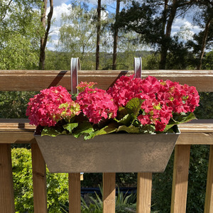 Set of 2 Balcony Hanging Planters - Grey by Selections