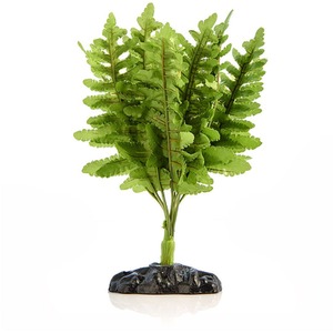 Swell Reptiles Boston Fern Plant - Green by Swell Reptiles
