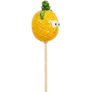 Fruit and Veg Garden Stakes