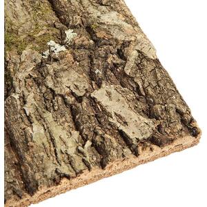 Swell Reptiles Natural Cork Tile Background by Swell Reptiles