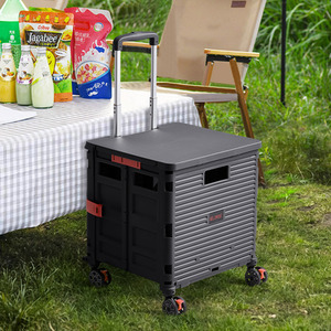 Folding Shopping Trolley with Magnetic Lid and Tiltable Handle by lifeideas