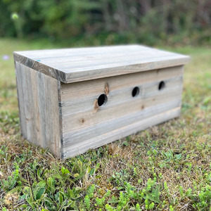 Sparrow Colony Terrace Wooden Nesting Box - Brown by Selections