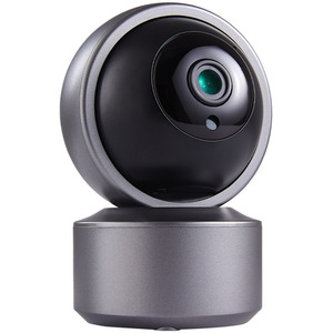 Silver Smart Pet Security Camera - Silver by Livingandhome