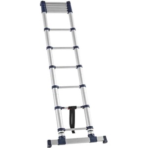 XtendClimb ProSeries S2.0 Telescopic Ladder - Silver / 320cm by TB Davies