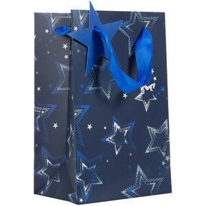 Pack of 2 Navy Medium and Small Gift Bags - Navy