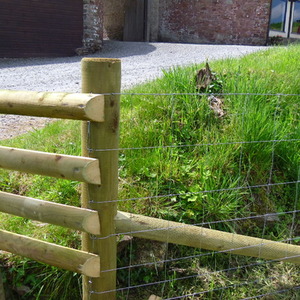 M8 Galvanised Stock Fencing for Livestock 50m - Silver by Actiaspet