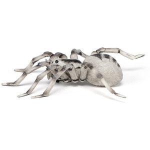 PAPO Wild Animal Kingdom Tarantula Toy Figure - 50190 - Grey by PAPO