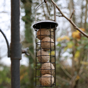 Hanging Wild Bird Feeder Set of 4 Nut Seed Fat Ball - Dark Brown by Actiaspet