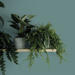 Crown Matt Emulsion - Botany Bay / 2.5l by Crown Paints