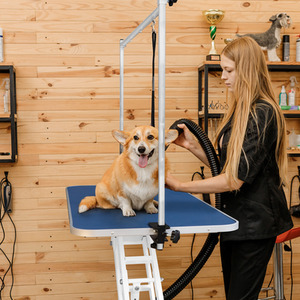 Hydraulic Pet Dog Grooming Tables Height Adjustable - Blue by Monster Shop