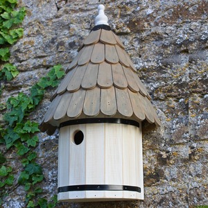 Dovecote Nest Box - White by Wildlife World