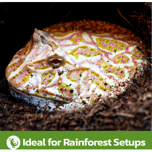 Swell Reptiles Coco Soil Bricks - Brown by Swell Reptiles