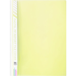 Pastel Report File Cover