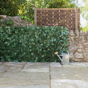 Artificial Ivy Hedge Screen Roll - Green by Christow