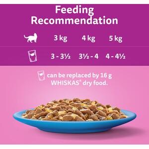 Whiskas 1+ Pouches in Jelly - Fish Favourites / 12 by Whiskas