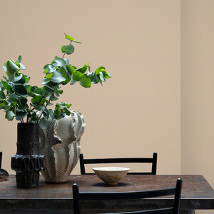 Craig and Rose Chalky Matt Emulsion by Craig & Rose