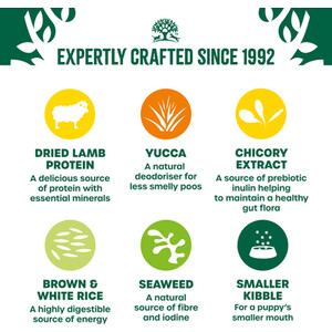 James Wellbeloved Hypoallergenic Adult Dog Food - Lamb and Rice / 2kg by James Wellbeloved