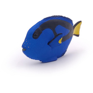 PAPO Marine Life Surgeonfish Toy Figure - Blue by PAPO