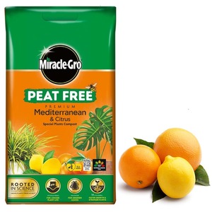 Peat Free Premium Mediterranean Citrus Compost - Brown by Miracle-Gro
