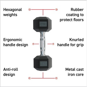 Hex Dumbbells by Body Revolution
