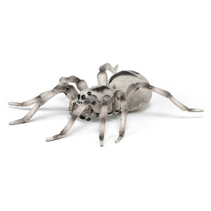 PAPO Wild Animal Kingdom Tarantula Toy Figure - 50190 - Grey by PAPO