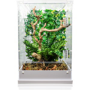 Swell Reptiles Arboreal Terrarium - Clear by Swell Reptiles