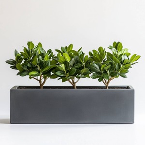Zinc Galvanised Matte Grey Trough Planter by Woven Wood
