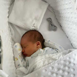 Dimple Palm Moses Basket - Grey by Clair de Lune