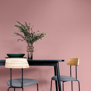 Craig and Rose Chalky Matt Emulsion by Craig & Rose